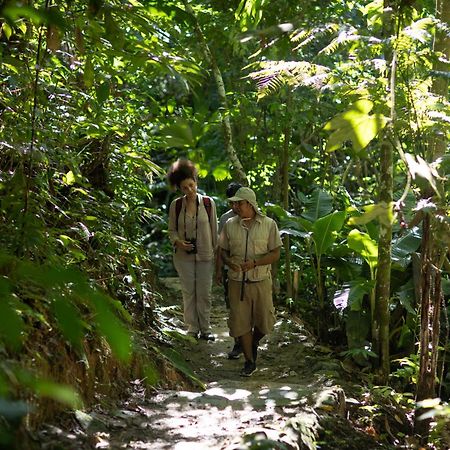 Pumarinri Amazon Lodge Tarapoto Eksteriør bilde