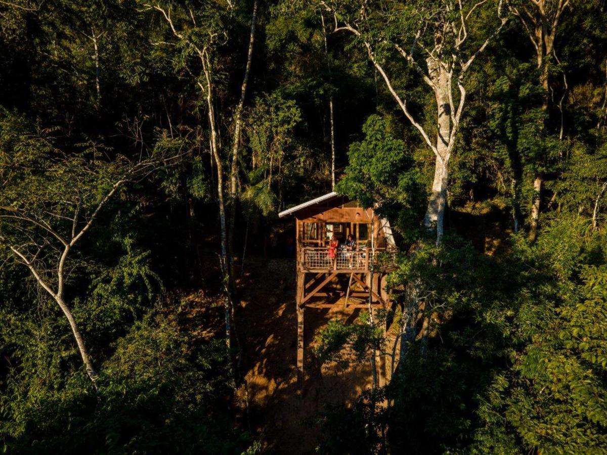 Pumarinri Amazon Lodge Tarapoto Eksteriør bilde