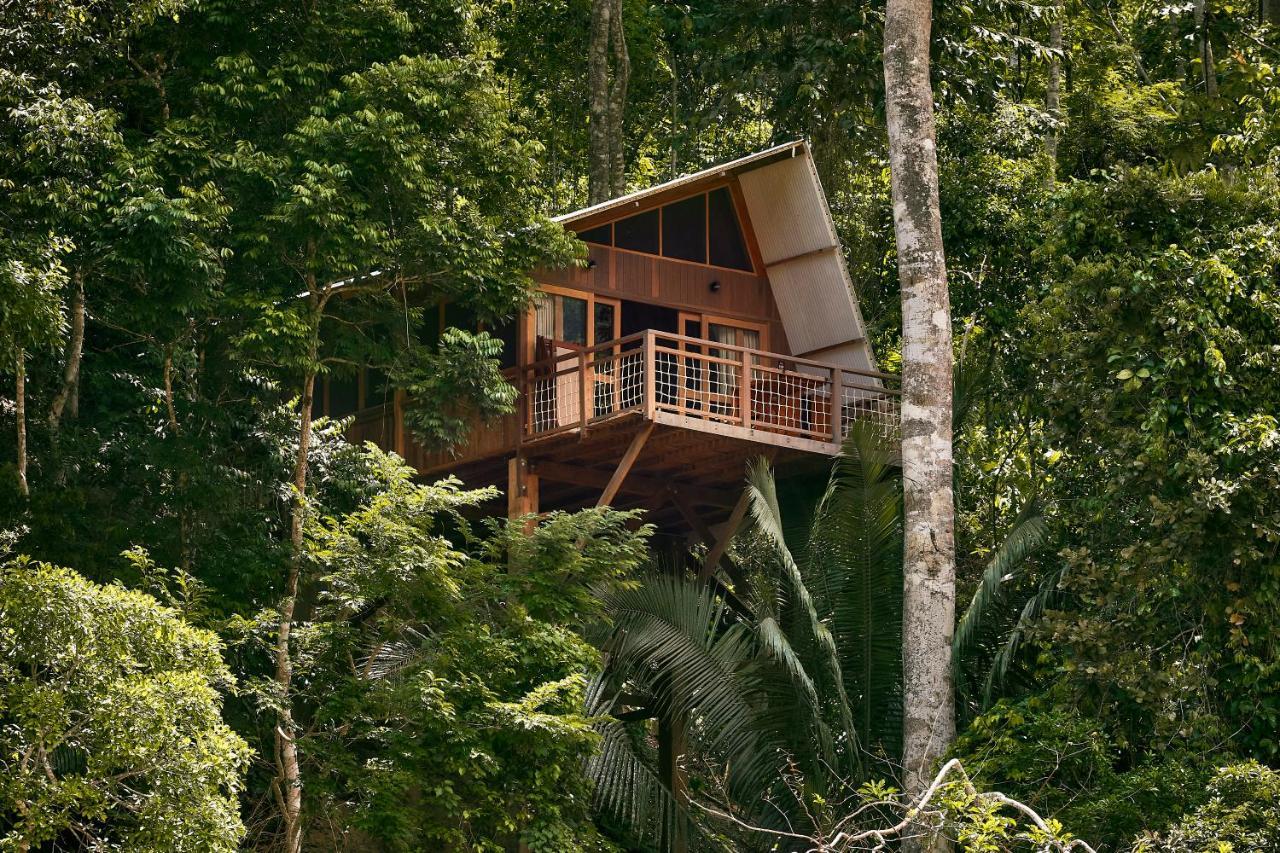 Pumarinri Amazon Lodge Tarapoto Eksteriør bilde