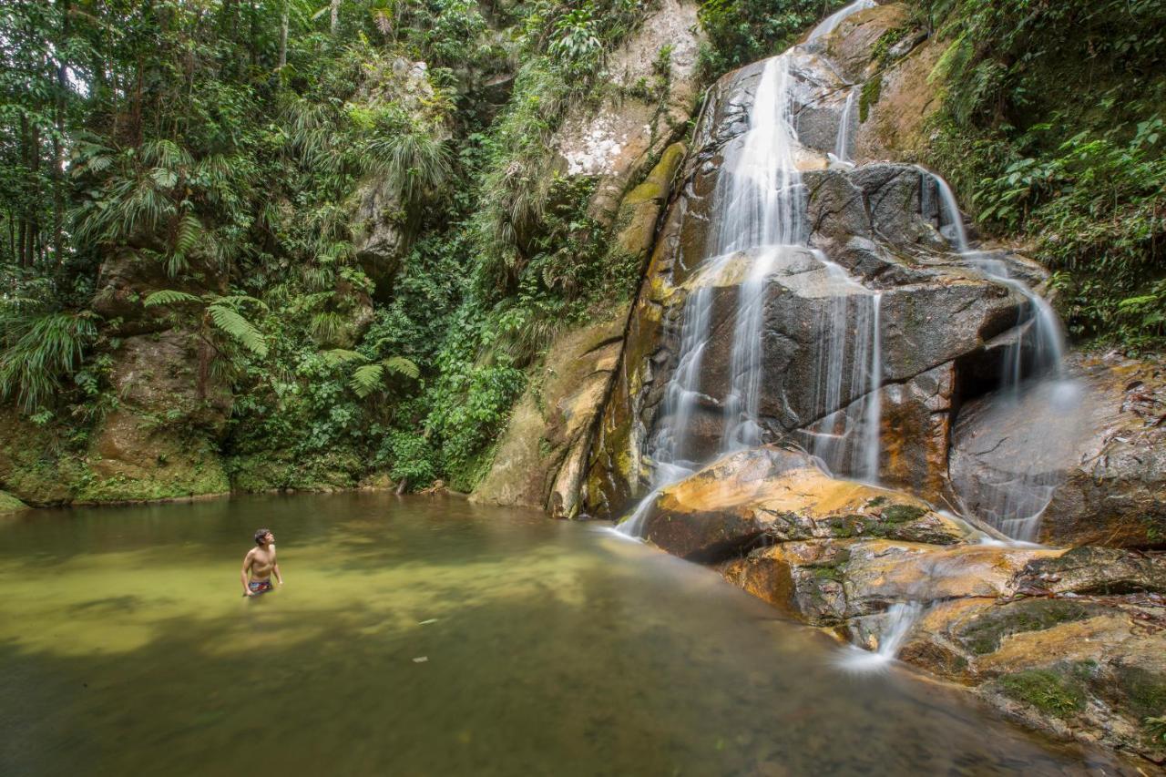 Pumarinri Amazon Lodge Tarapoto Eksteriør bilde