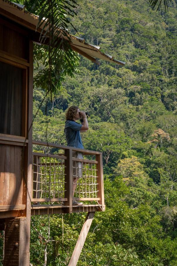 Pumarinri Amazon Lodge Tarapoto Eksteriør bilde