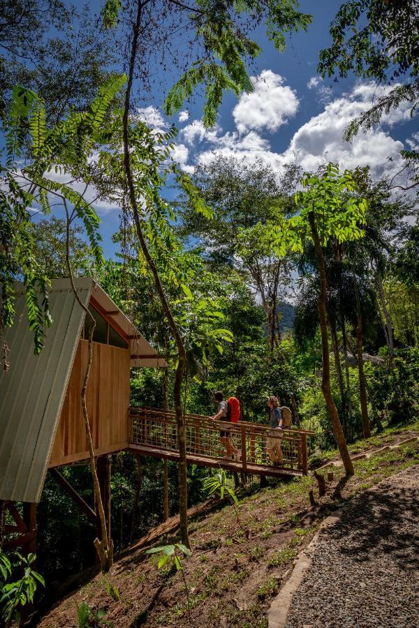 Pumarinri Amazon Lodge Tarapoto Eksteriør bilde