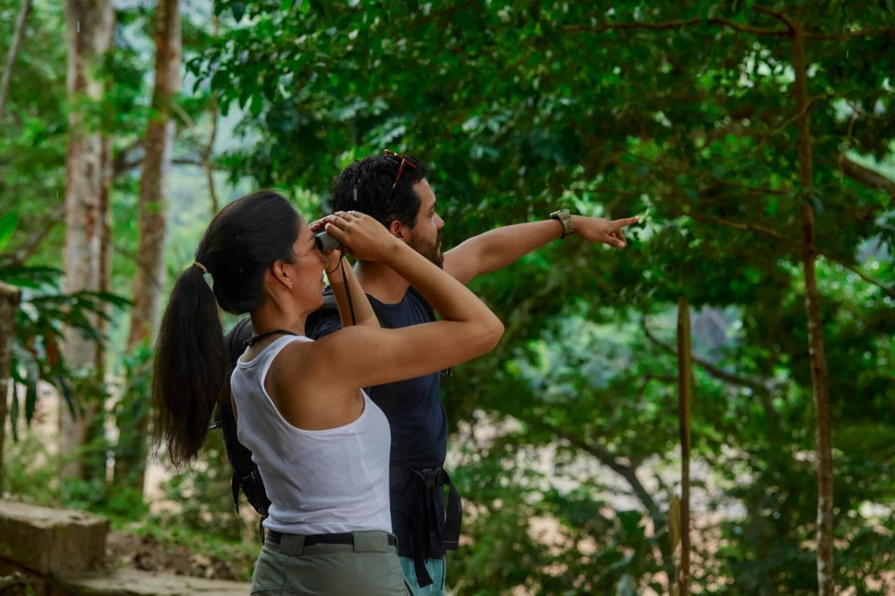 Pumarinri Amazon Lodge Tarapoto Eksteriør bilde