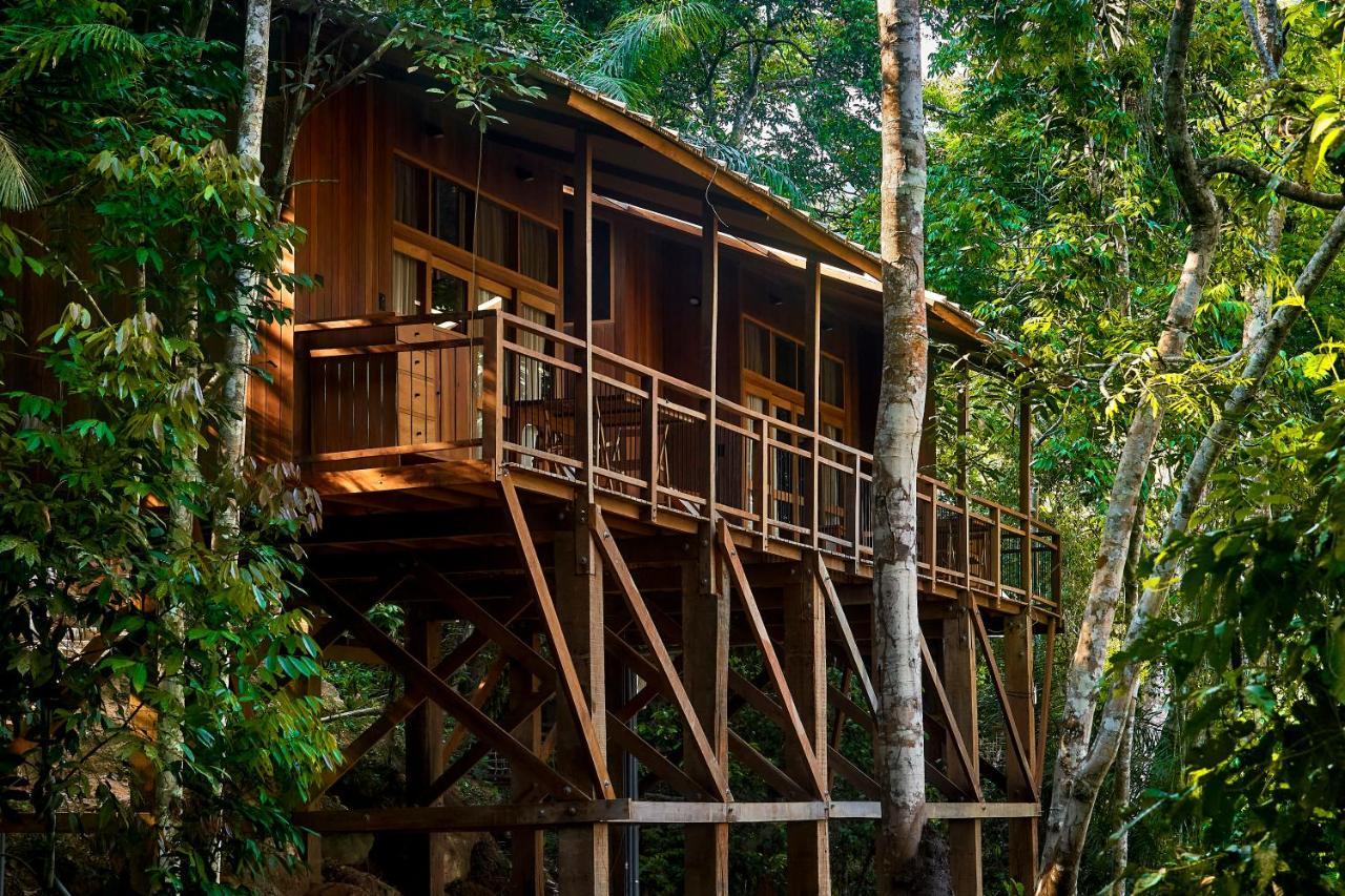 Pumarinri Amazon Lodge Tarapoto Eksteriør bilde