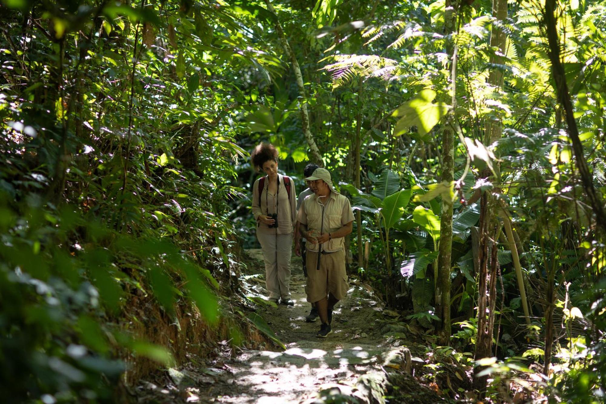 Pumarinri Amazon Lodge Tarapoto Eksteriør bilde