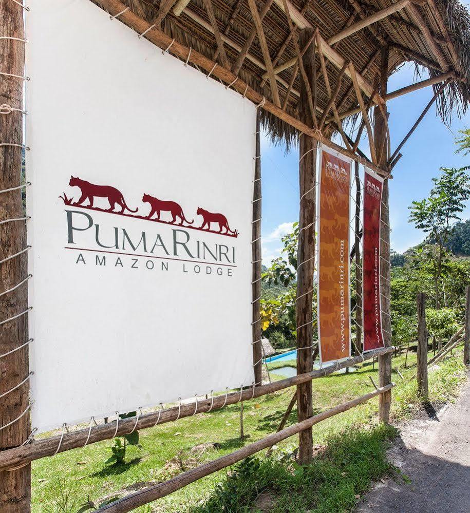Pumarinri Amazon Lodge Tarapoto Eksteriør bilde