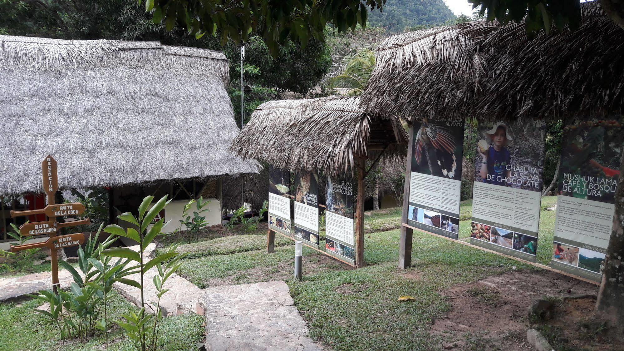 Pumarinri Amazon Lodge Tarapoto Eksteriør bilde