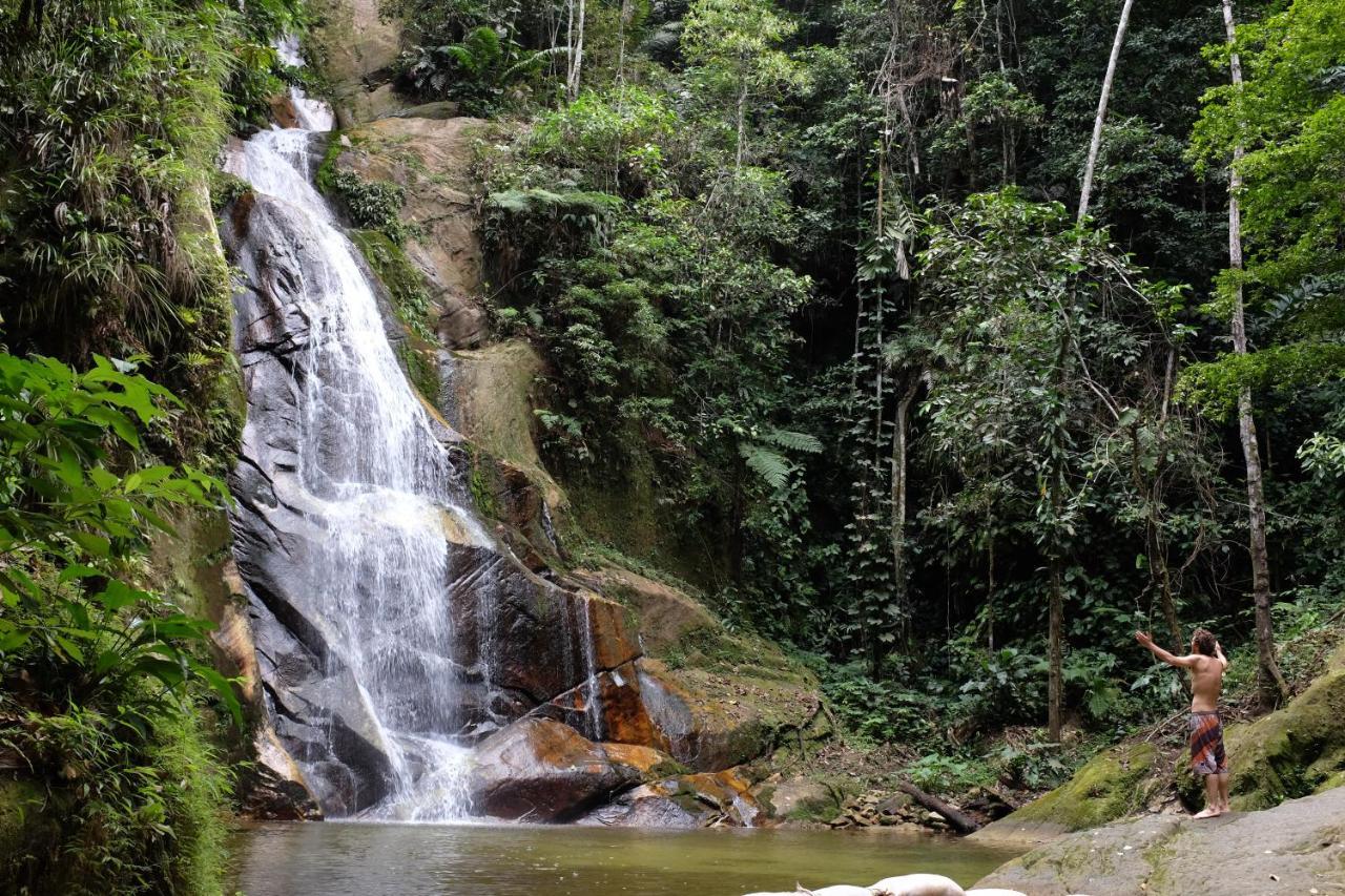Pumarinri Amazon Lodge Tarapoto Eksteriør bilde